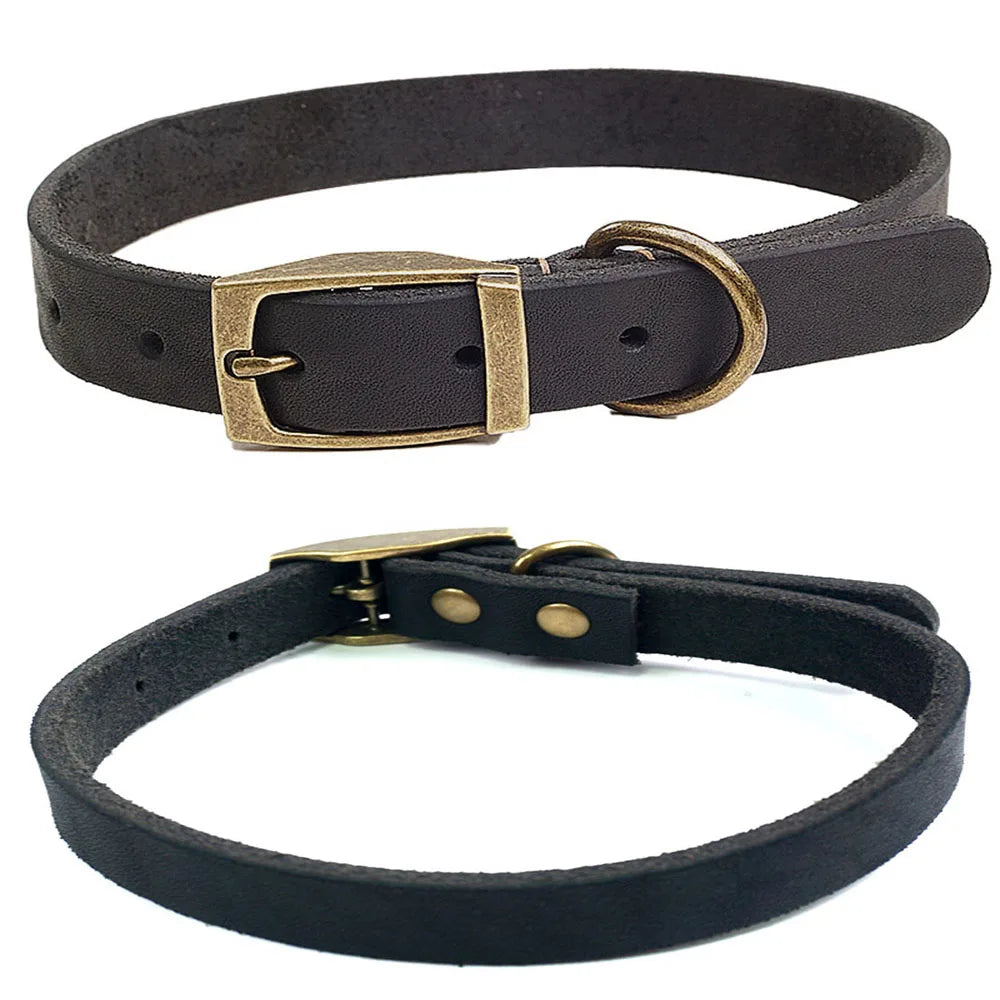 collier chiot cuir de couleur noir et or de boutiquechien Image