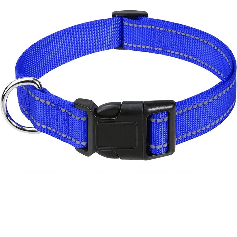 Collier chiot femelle de couleur bleu fonce et lumineux de boutiquechien