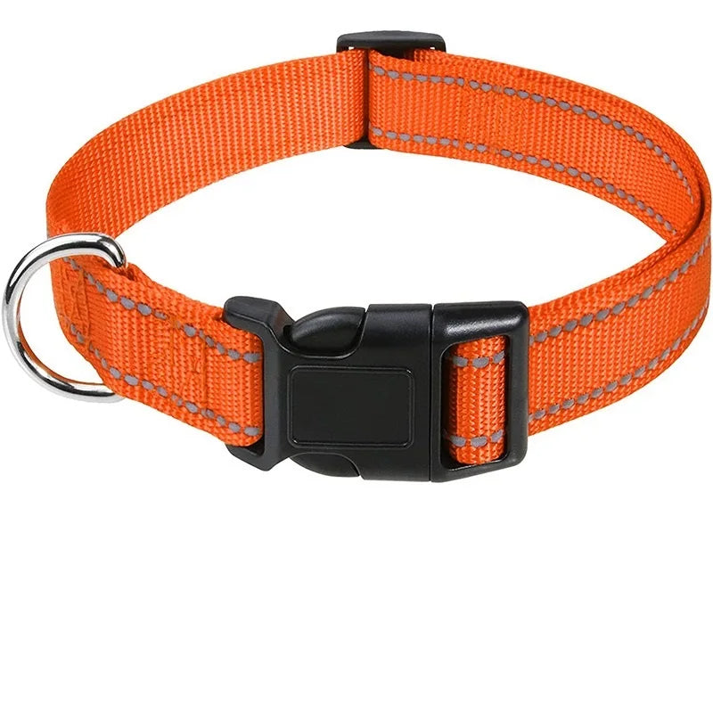 Collier pour chiot femelle de couleur orange et noir reflechissant de boutiquechien