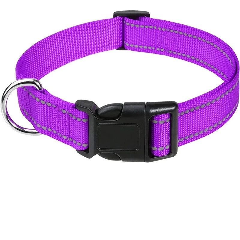 Collier chiot femelle de couleur violet et noir de Boutiquechien