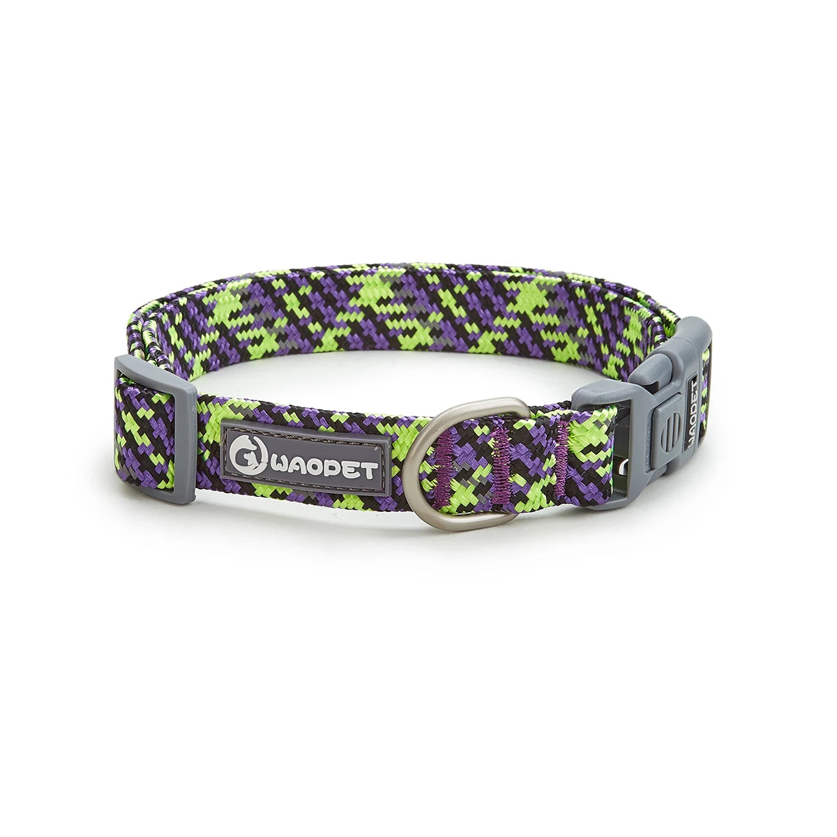 collier pour chiot labrador de couleur violet et vert 