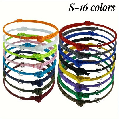 Collier chiot naissance 16 couleurs