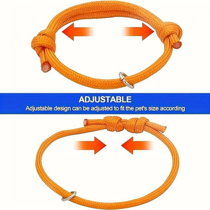 Collier chiot naissance ajustable