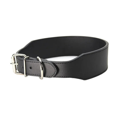 Collier chiot pas cher de cote 