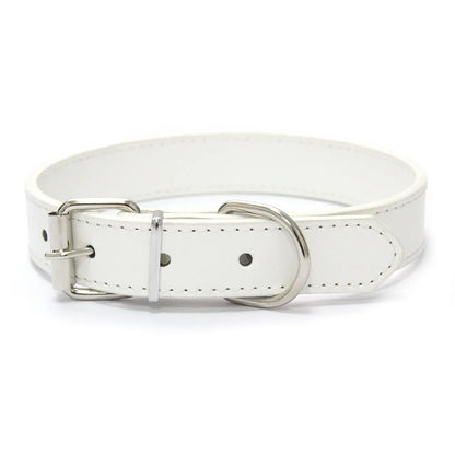 collier pour chiot blanc de style cuir pour petit chien. Image produit Boutiquechien