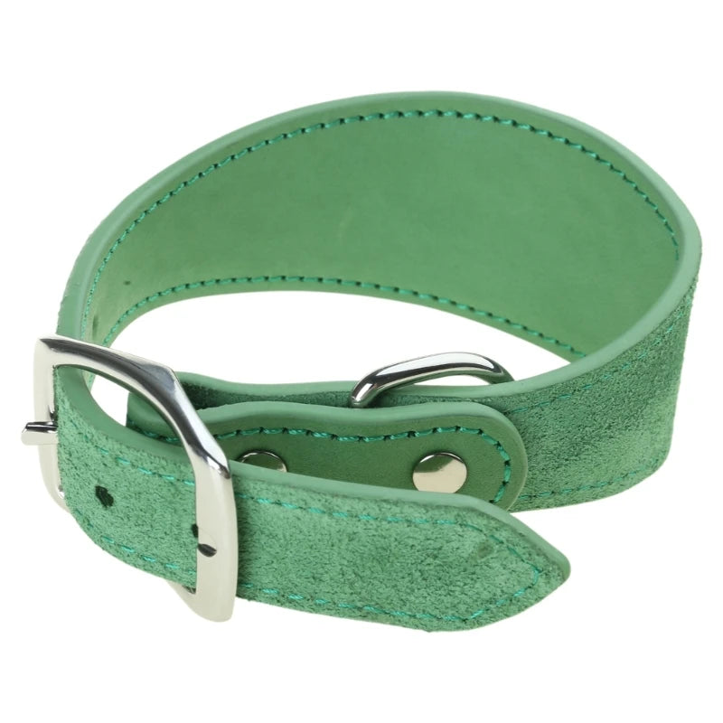 Collier chiot whippet de couleur vert dans un fond blanc