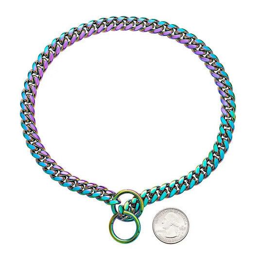 Collier chien étrangleur de couleur chromatique comparé à une pièce de monnaie. Image produit Boutiquechien