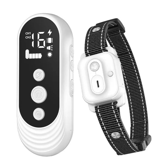 Collier citronnelle pour chien