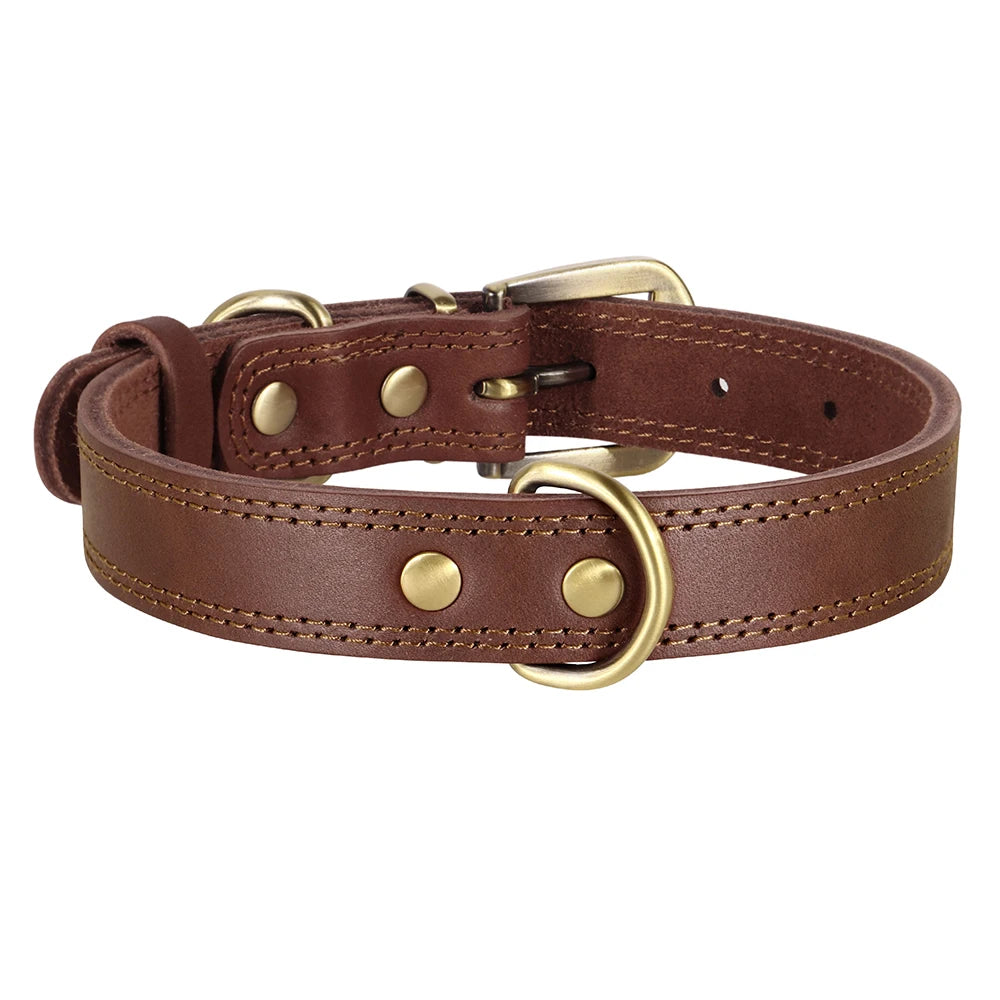 collier cuir chien des couleur brun. Image produit Boutiquechien