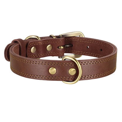 collier cuir chien des couleur brun. Image produit Boutiquechien