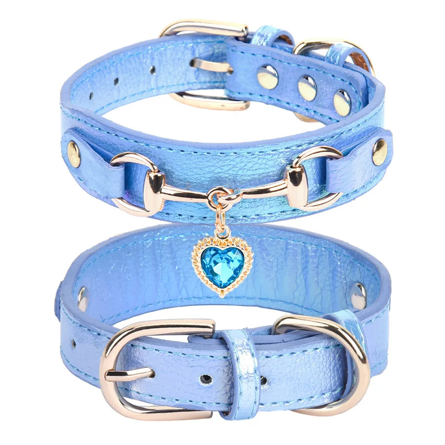 Collier de chien femme bleu