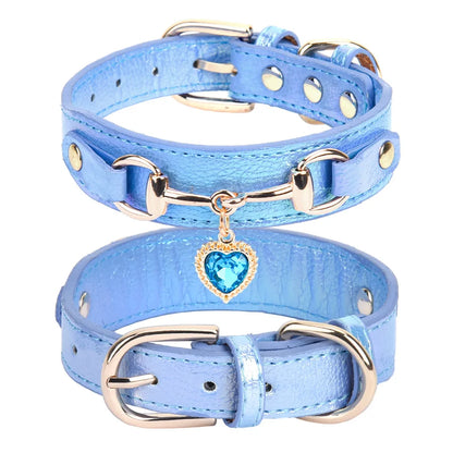 Collier de chien femme bleu