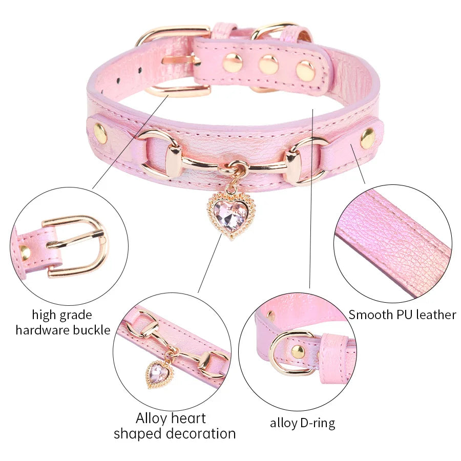 Collier de chien femme caractéristique produit  Image