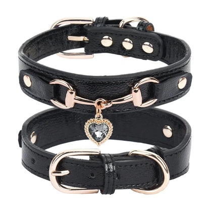 Collier de chien femme noir