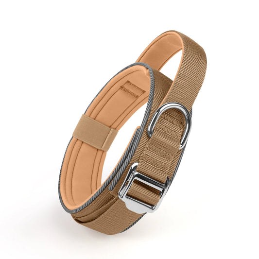 Collier de dressage chiot de couleur beige