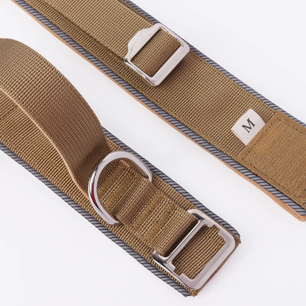 Collier de dressage chiot beige avec des attaches gris de taille M