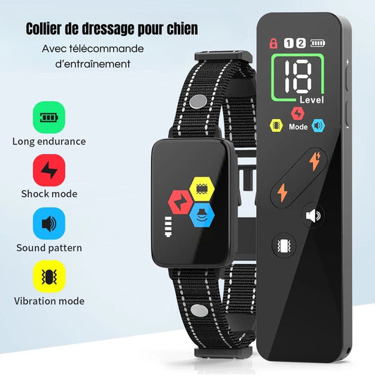collier multi-fonctions pour chien. De couleur noir avec télécommande noir. Image produit Boutiquechien