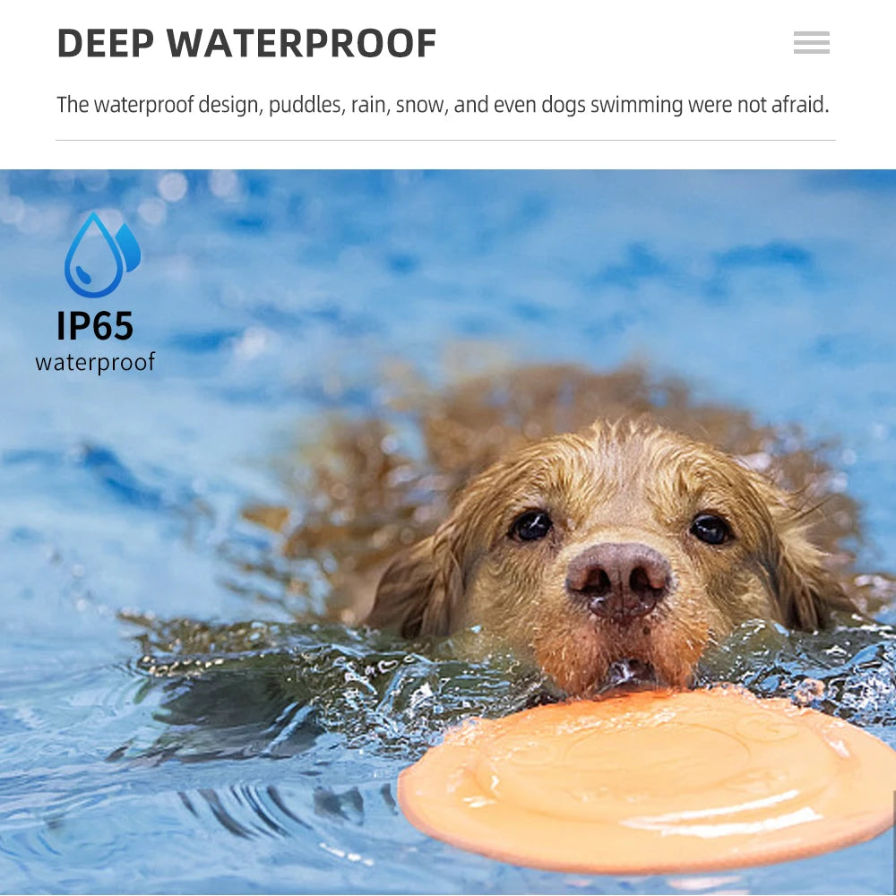 Collier de dressage pour chien 800m waterproof Image