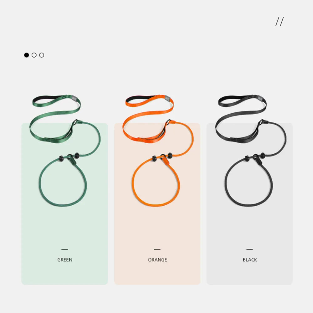 Collier education chiot de couleur vert, orange et noir 