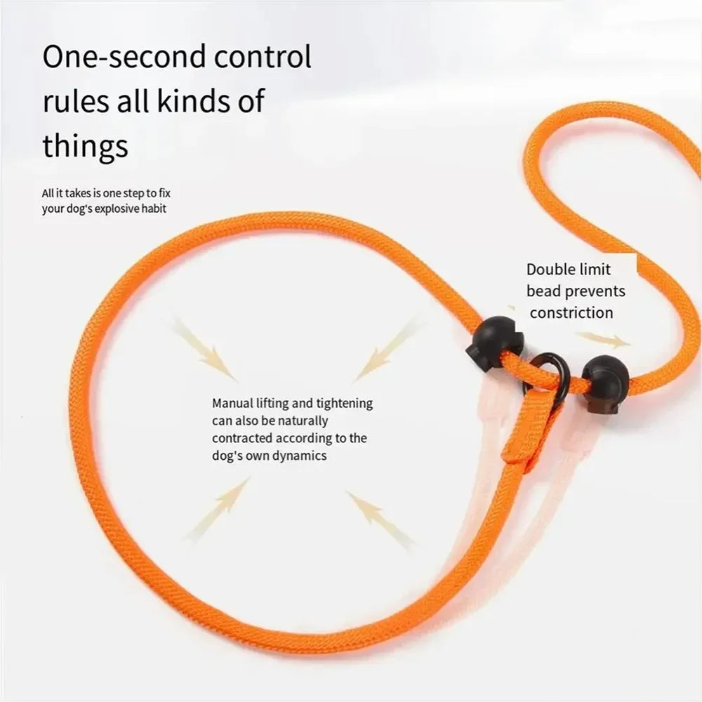 collier pour chiot éducation avec la totalité des fonctionnement de ce collier laisse  Image