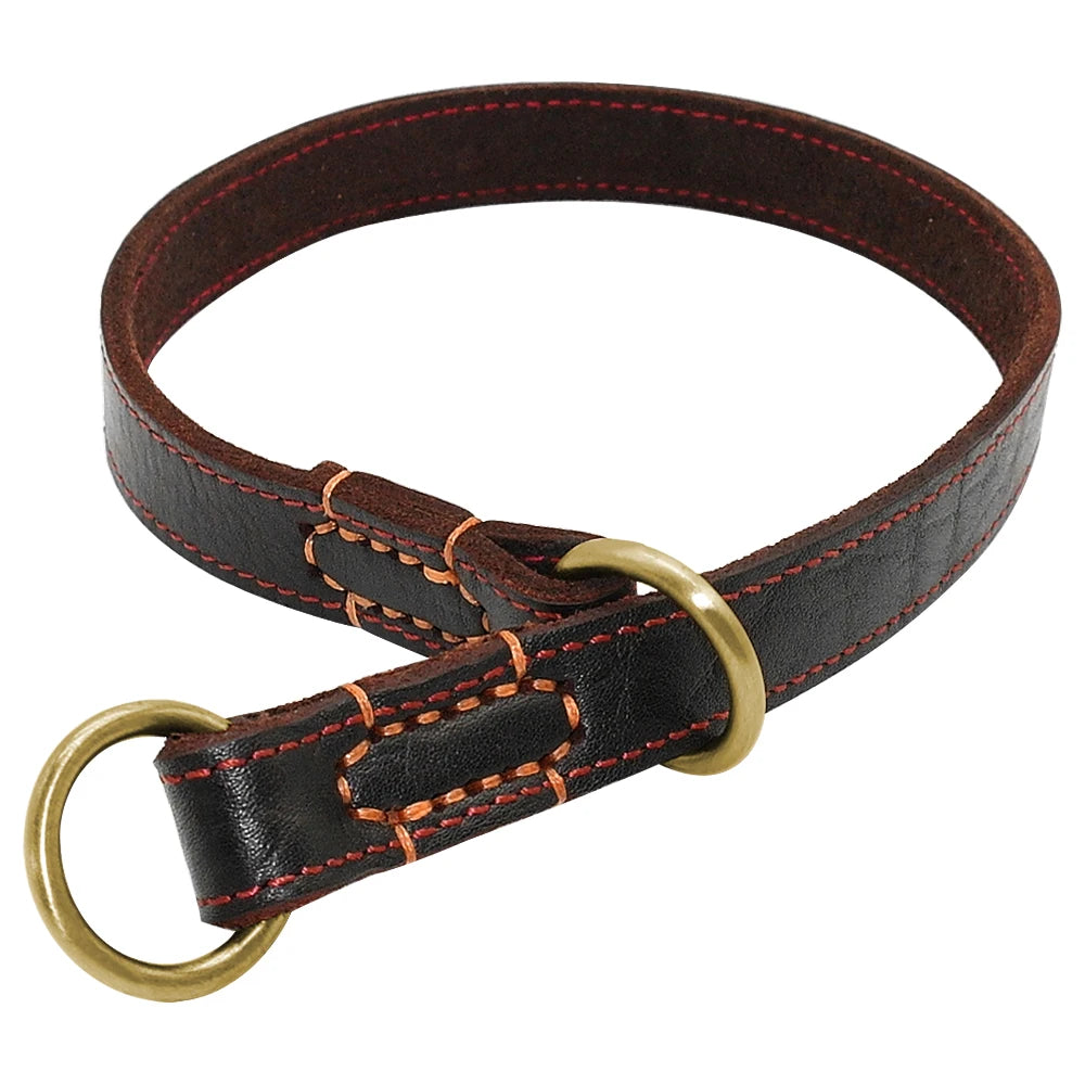 collier pour chien en cuir étrangleur de couleur brun avec des boucles en or. Image produit boutiquechien