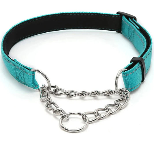 collier étrangleur chien de couleur turquoise résistant et confortable. Collier en maillon gris pour chien. Image produit Boutiquechien