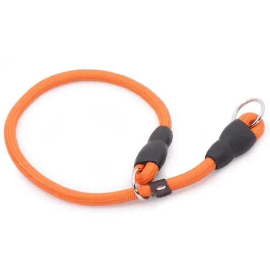 collier pour chien étrangleur de couleur orange. Image produit Boutiquechien