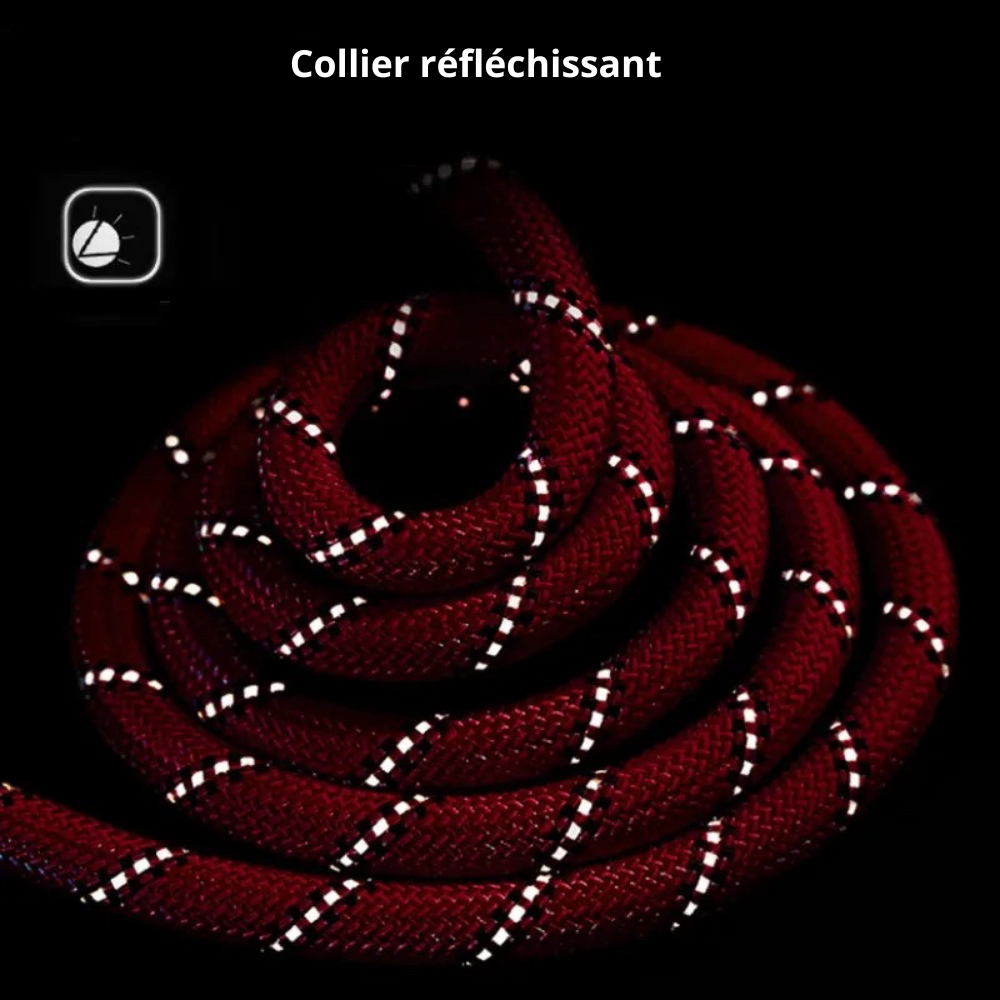 Collier etrangleur en nylon rouge resistant de Boutiquechien  