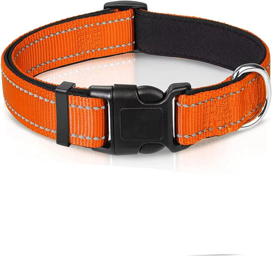 Collier hunter chien