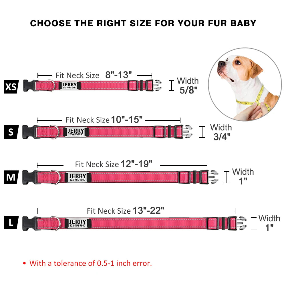 Collier identification chiot dimensions comparatif