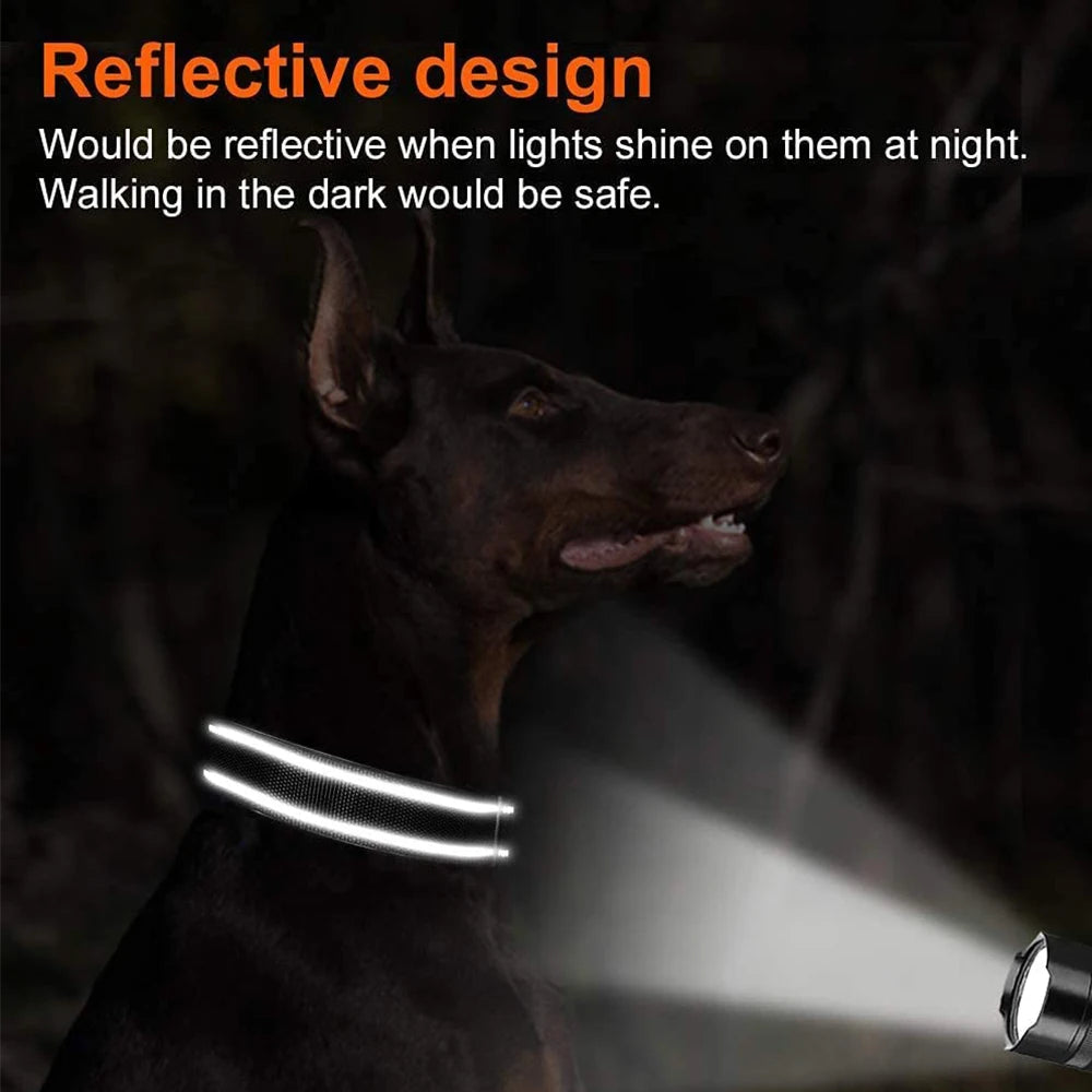 Collier identification chiot reflechissant