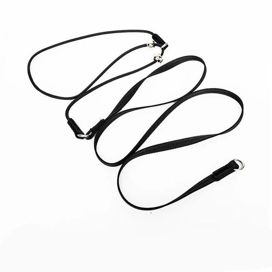 collier étrangleur de couleur noir possède une mini laisse pour maintenir votre chien. Image produit boutiquechien