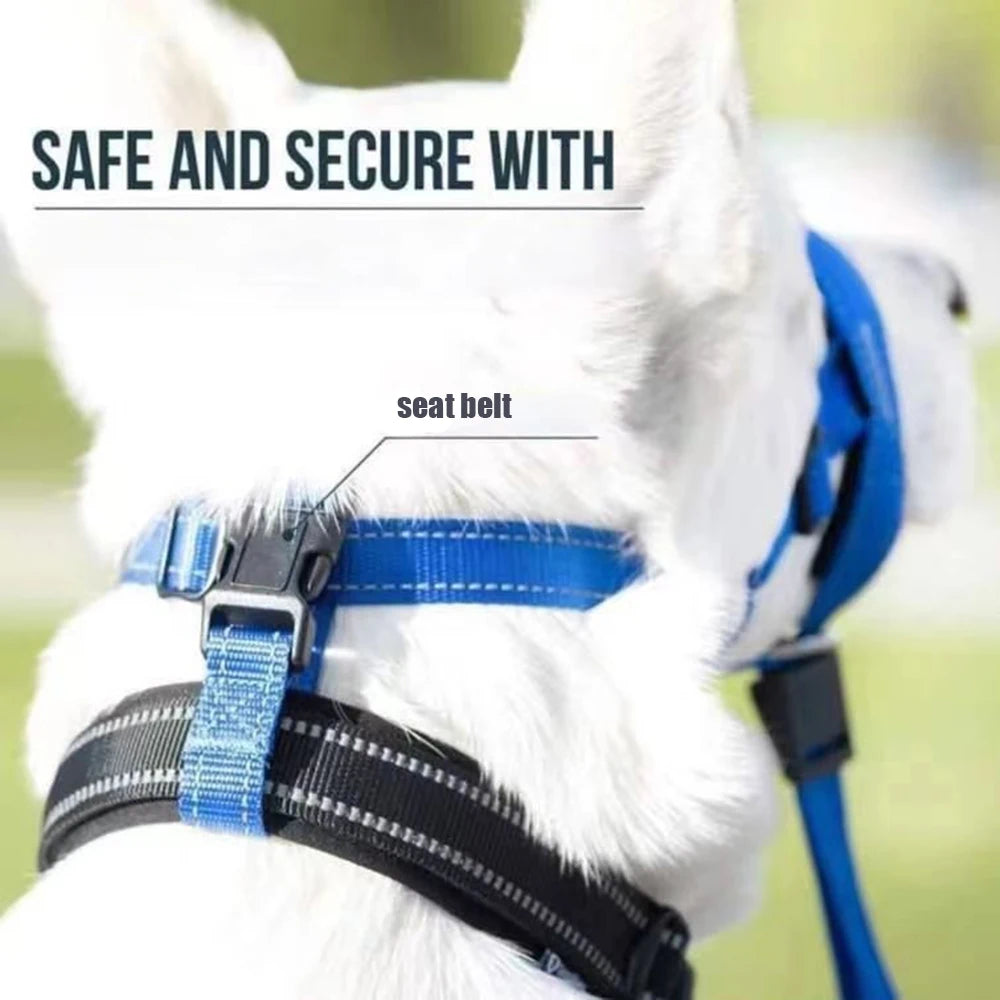 Collier licol pour chien fonctionnement du produit  Image