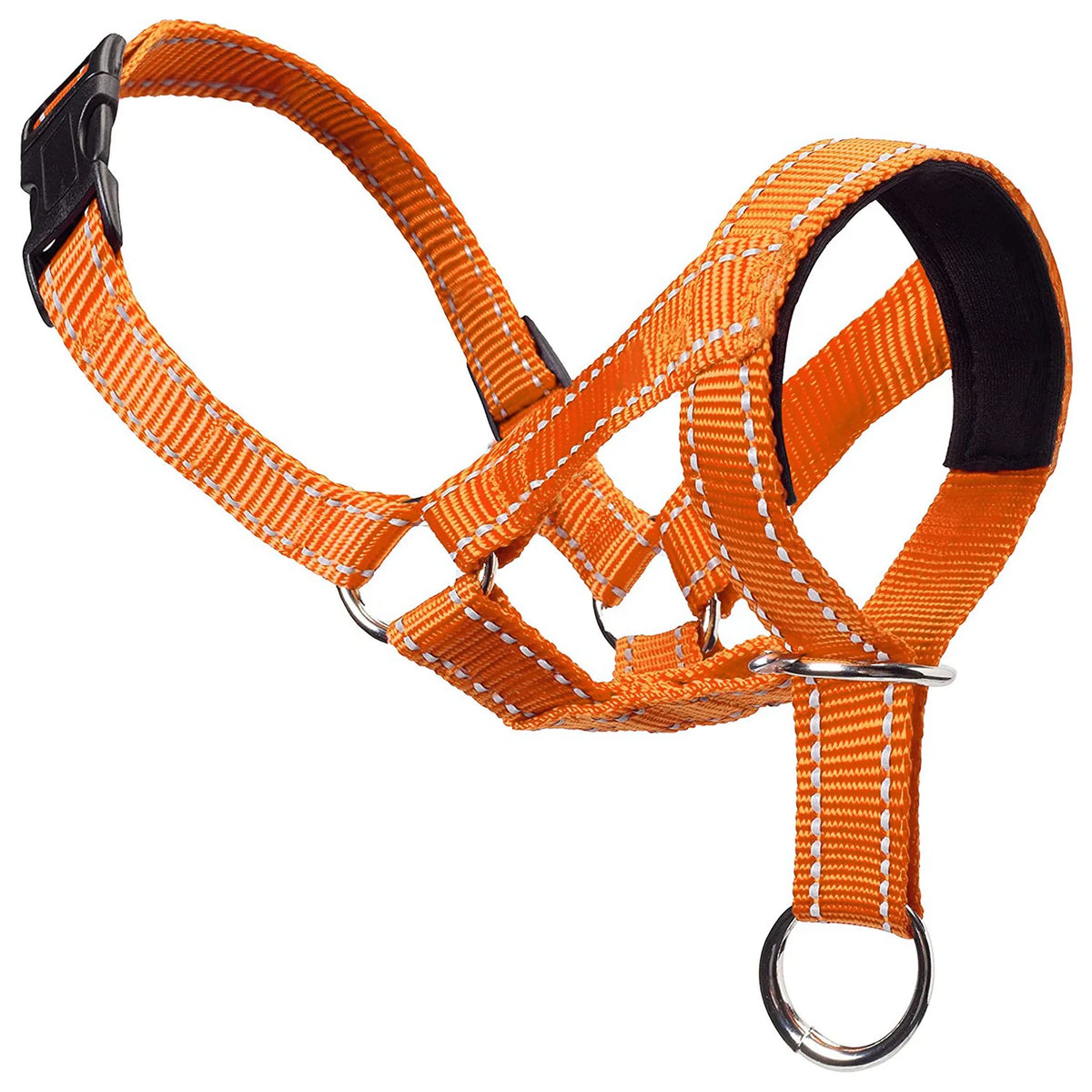 Collier licol pour chien orange