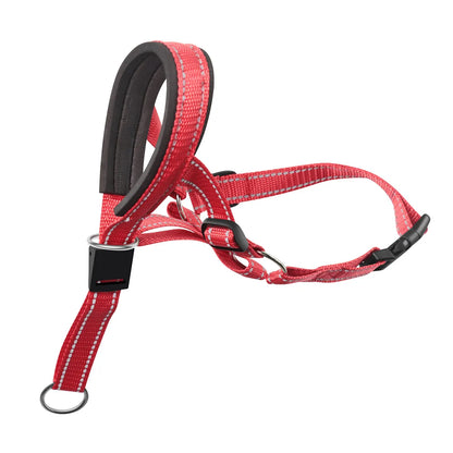 Collier licol pour chien rouge