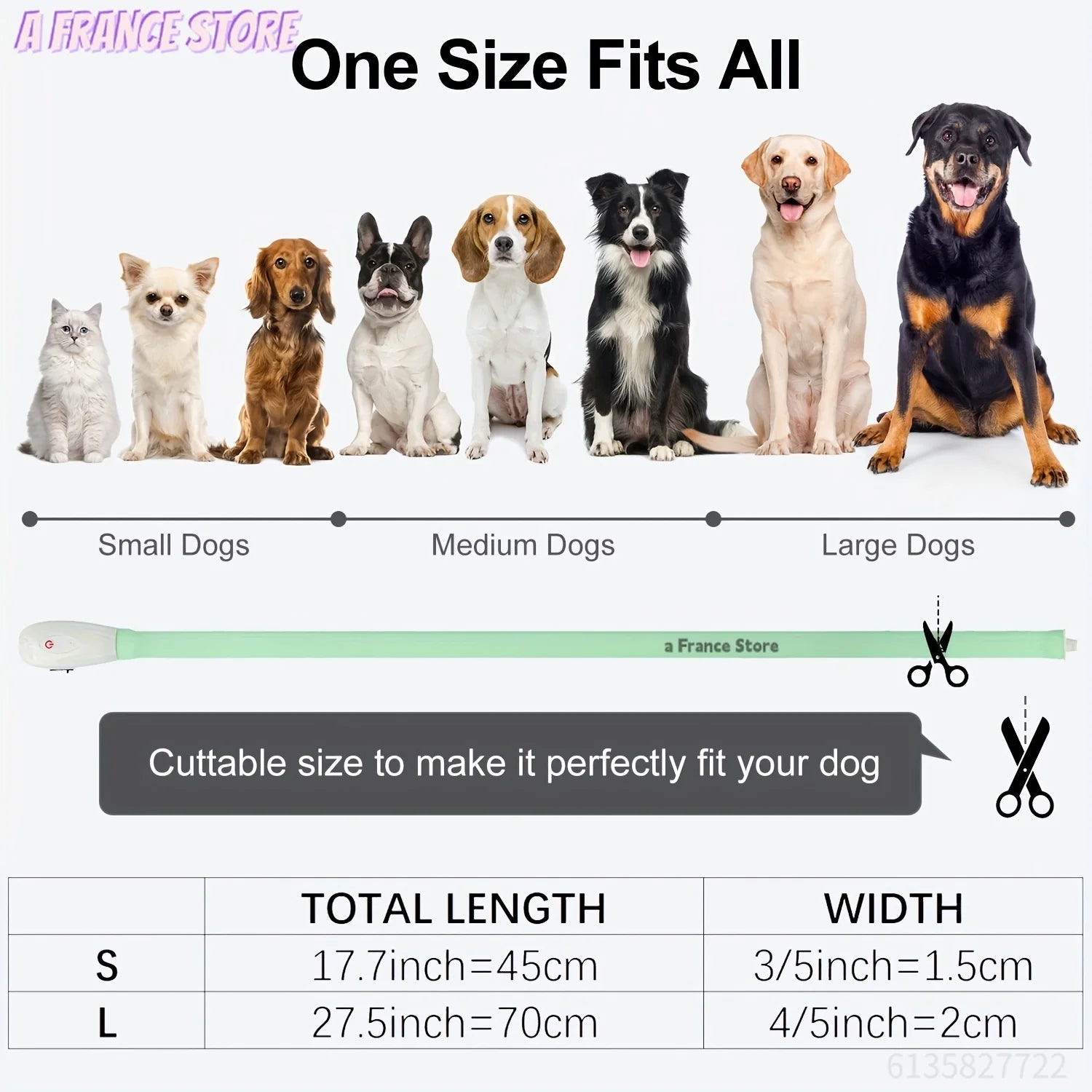 Collier lumineux chiot taille complète en tableau