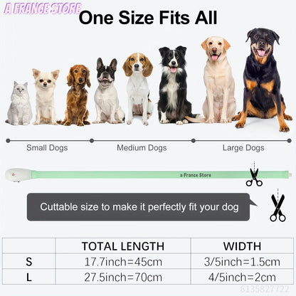 Collier lumineux chiot taille complète en tableau