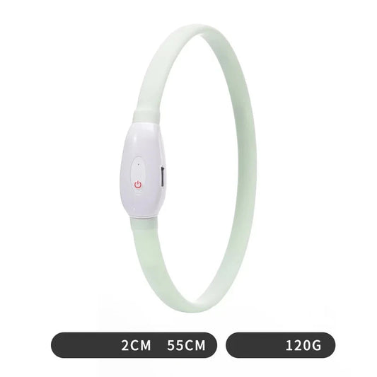 petit collier lumineux pour chien de boutiquechien