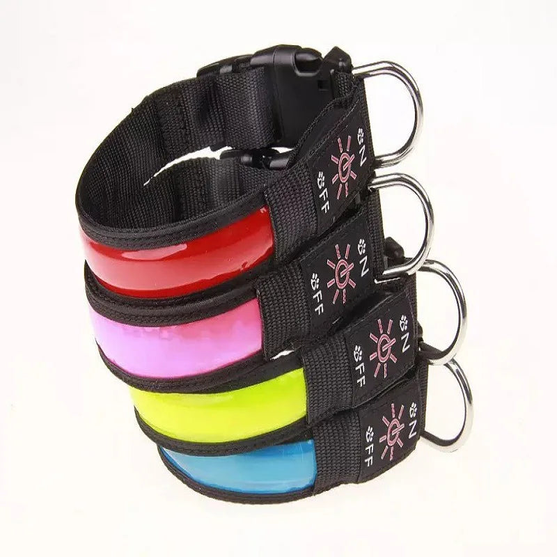 collier pour petit chien lumineux empile de différentes couleurs Image