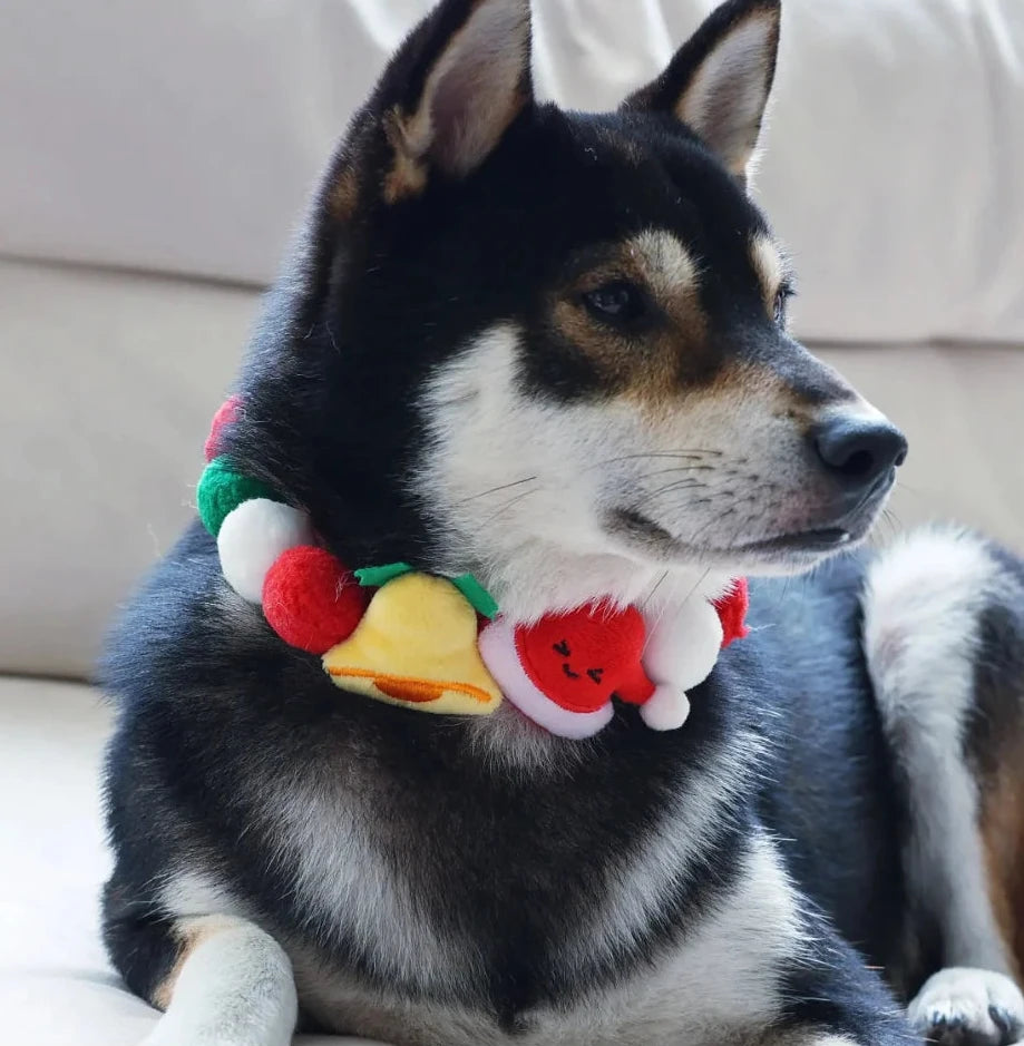 Collier noel pour chien sur un chien noir sur un canapé  Image