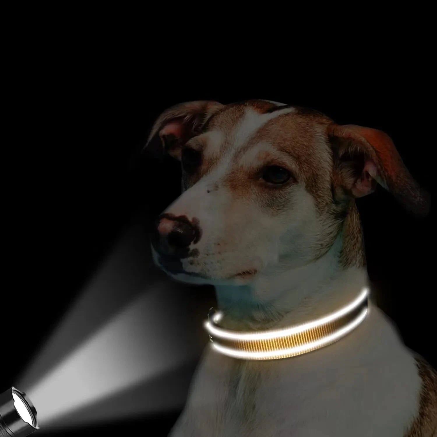 Collier pas cher pour chien reflechissant