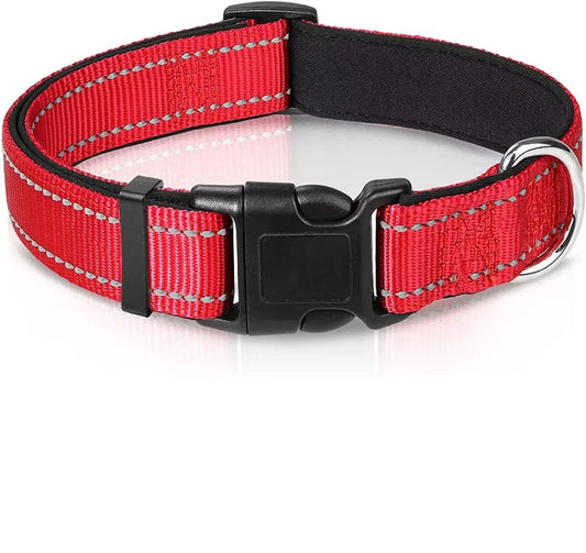 Collier pas cher pour chien rouge