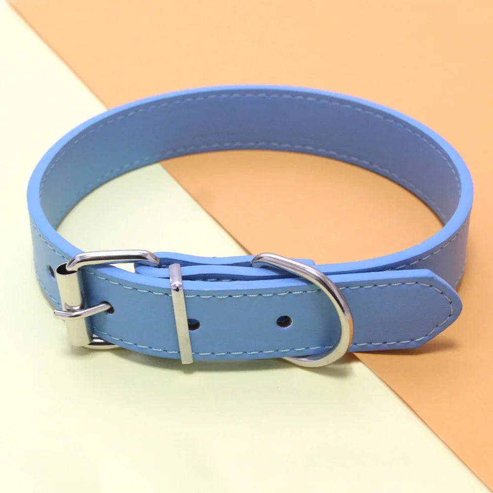 collier style cuir pour petit chien de couleur bleu. Image produit Boutiquechien