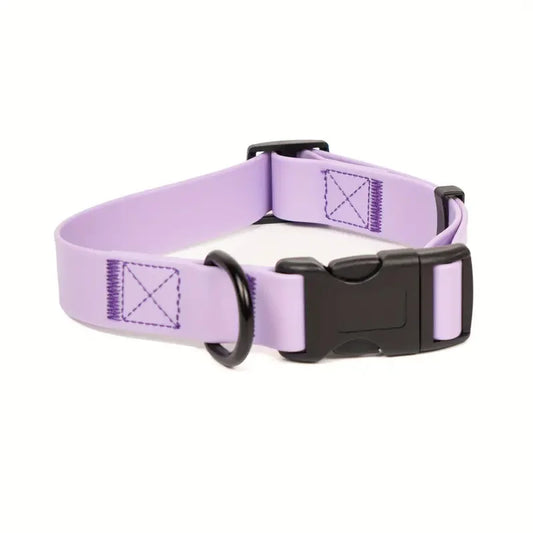 Collier pour chien violet et noir 