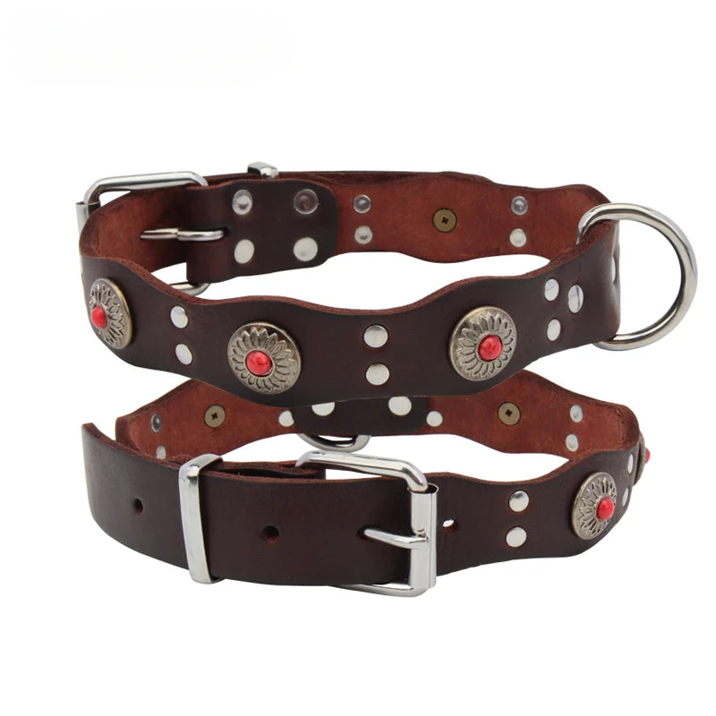 Collier pour chiot rottweiler de couleur brun cuir et argent