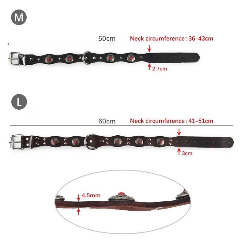 Collier pour chiot rottweiler dimensions total 