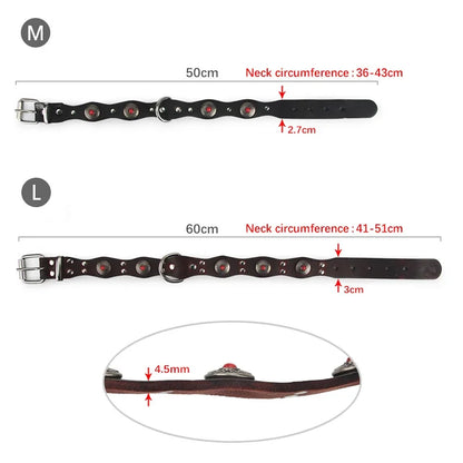 Collier pour chiot rottweiler dimensions total 