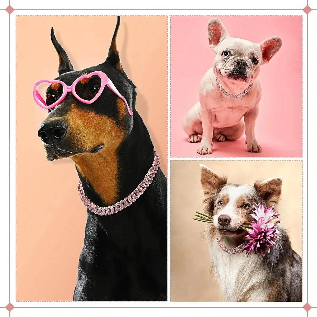 Collier strass chien sur des chiens Image
