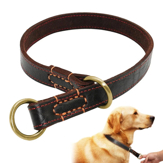 collier étrangleur pour chien en cuir. Le collier possède des boucles couleurs or.Un golden retriever est assis et porte le collier. Image produit boutiquechien