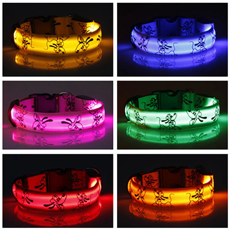 Collier chien lumineux avec des leds. Plusieurs couleurs de collier pour Boutiquechien Image